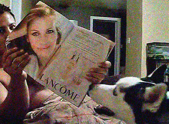 Куче кое се плаши од Џулија Робертс