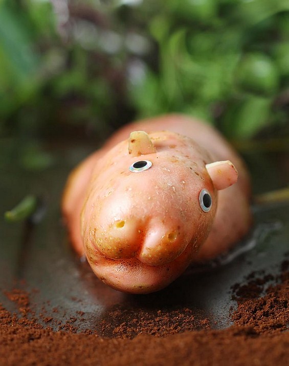 (10) Креативно забавни животинки направени од храна Креативно забавни животинки направени од храна