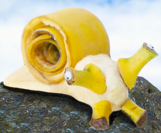 (12) Креативно забавни животинки направени од храна Креативно забавни животинки направени од храна