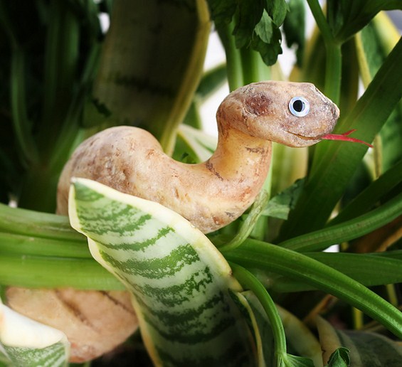 (15) Креативно забавни животинки направени од храна Креативно забавни животинки направени од храна