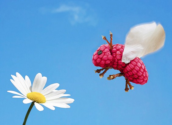 (3) Креативно забавни животинки направени од храна Креативно забавни животинки направени од храна