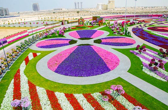 Нова топ атракција во Дубаи - огромна цветна градина која го одзема здивот