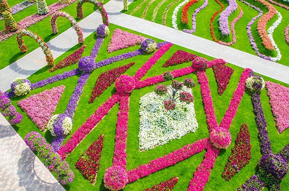 Нова топ атракција во Дубаи - огромна цветна градина која го одзема здивот