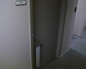 Една работа имаше и таа не ја заврши како што треба