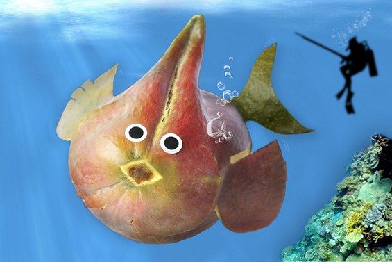 (7) Креативно забавни животинки направени од храна Креативно забавни животинки направени од храна