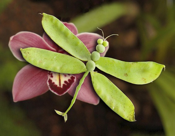 (8) Креативно забавни животинки направени од храна Креативно забавни животинки направени од храна