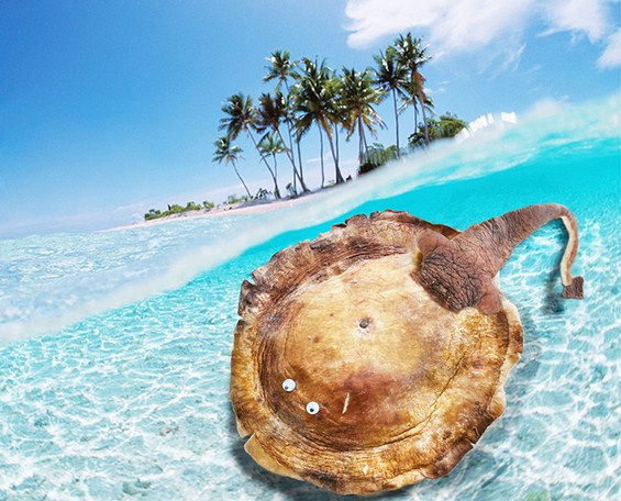 (9) Креативно забавни животинки направени од храна Креативно забавни животинки направени од храна