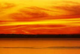 Прекрасни изгрејсонца сликани од исто место во текот на цела година