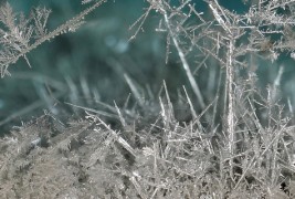 Елементите од периодичната таблица погледнати под микроскоп