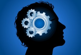 Интересни и неоспорни факти кои ќе ве заинтересираат