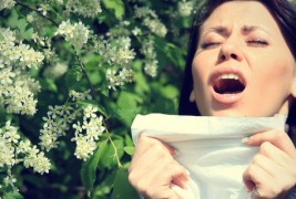 Како да ја преживеете сезоната на алергиите?