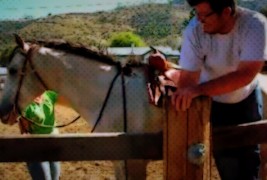 Како да се качите на коњ?