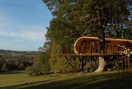 Луксузна куќичка на дрво