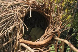 Сакате ли да преспиете во птичјо гнездо?