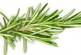 Спремате тежок испит? Рузмаринот ќе ви помогне околу тоа!