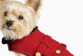 Стиска облека и аксесоари за кучиња од Ралф Лорен