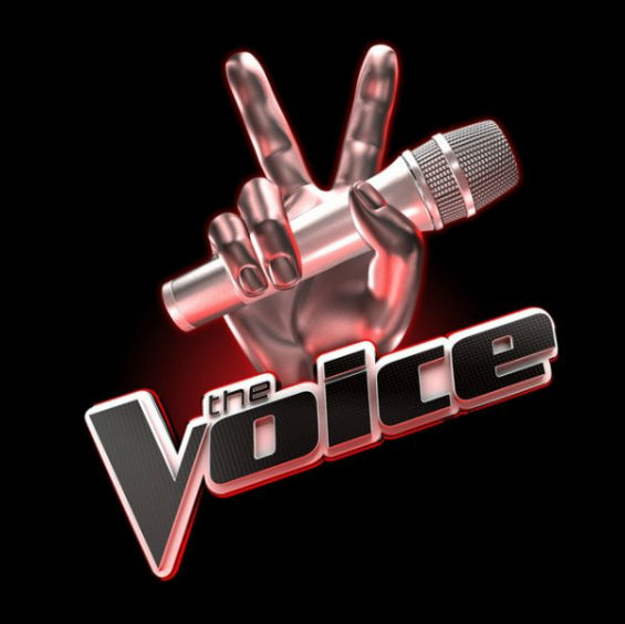 The voice - едно поинакво талент шоу