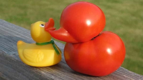 Смешни зеленчуци кои израснале за да бидат патки