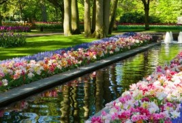 (0) Чекај ме во тајната градина...