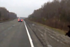 Мечка се одбива од шофершајбна и прави неколку салта назад