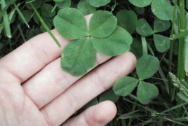 Моќта на малите ритуали во секојдневниот живот