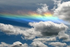 Феноменот огнени виножита