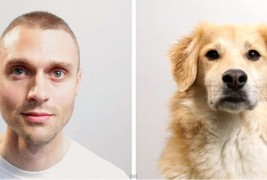 Како би ви изгледал животот да бевте куче?