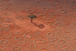 Мистериозни „самовилски кругови“ во пустината Намиб