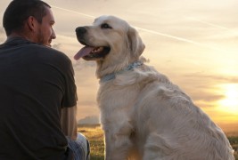 Животни лекции кои можете да ги научите од кучињата