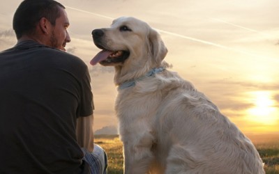 Животни лекции кои можете да ги научите од кучињата