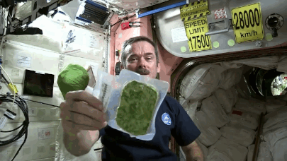 (1) Извонредниот живот на Крис Хедфилд во вселената