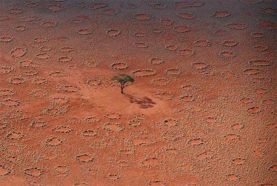 Мистериозни „самовилски кругови“ во пустината Намиб