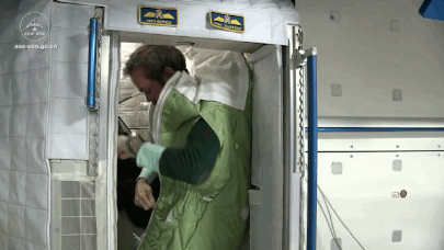 (13) Извонредниот живот на Крис Хедфилд во вселената 