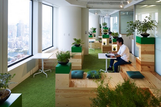 (5) Канцелариите на „Гугл“ во Токио