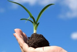 Како да го посадите семето за посреќен живот?