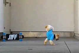 Куче со неверојатни актерски способности