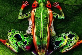 Неверојатен боди арт инспириран од природата