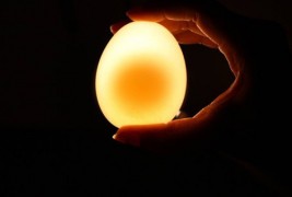 Неверојатно интересен експеримент со јајце и оцет