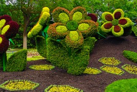 Прекрасни креации од растенија и цвеќиња