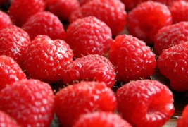 Здравствените придобивки од малините