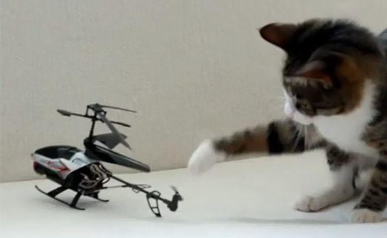 Мачки во борба со хеликоптер