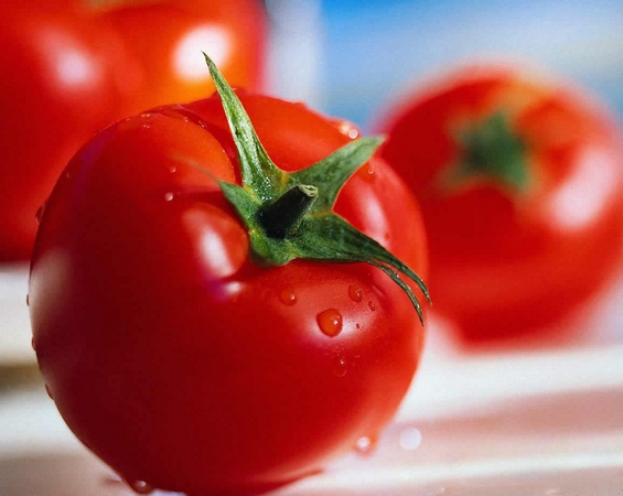 Моќна диета базирана на домати