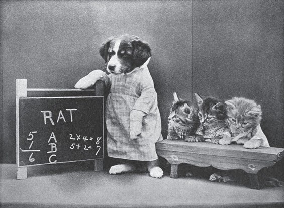 Слатки фотографии со мачки и кучиња стари повеќе од 100 години