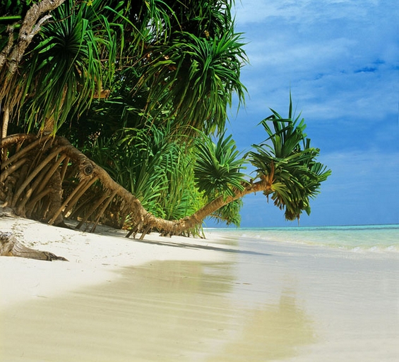 Малдиви - стотици острови отцепени од рајот