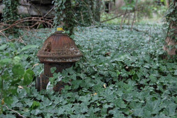 Напуштениот остров во средината на Њујорк