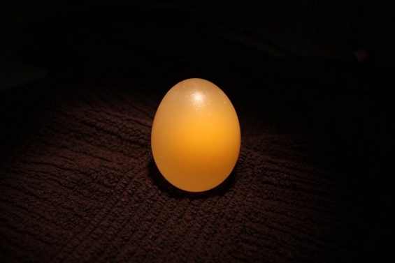 Неверојатно интересен експеримент со јајце и оцет