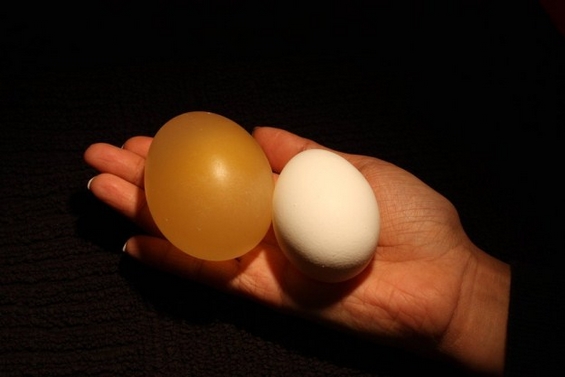 Неверојатно интересен експеримент со јајце и оцет