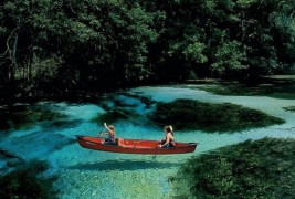 Бродови кои лебдат над водата