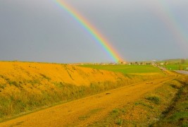 Како изгледа крајот на виножитото