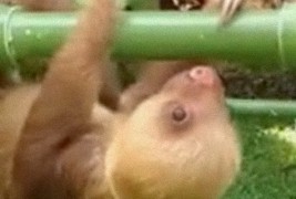 Како звучите кога вежбате првпат после подолг период?